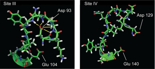 FIGURE 10.