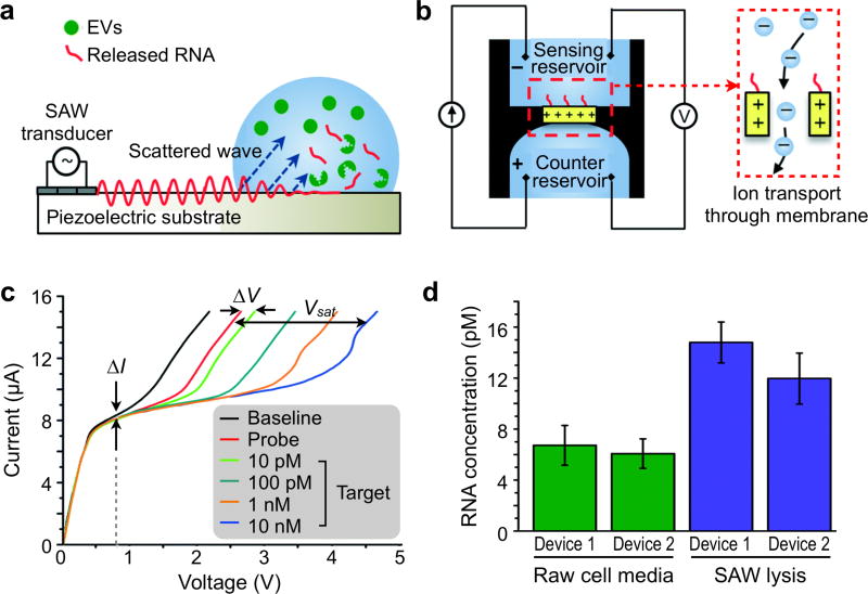 Figure 21