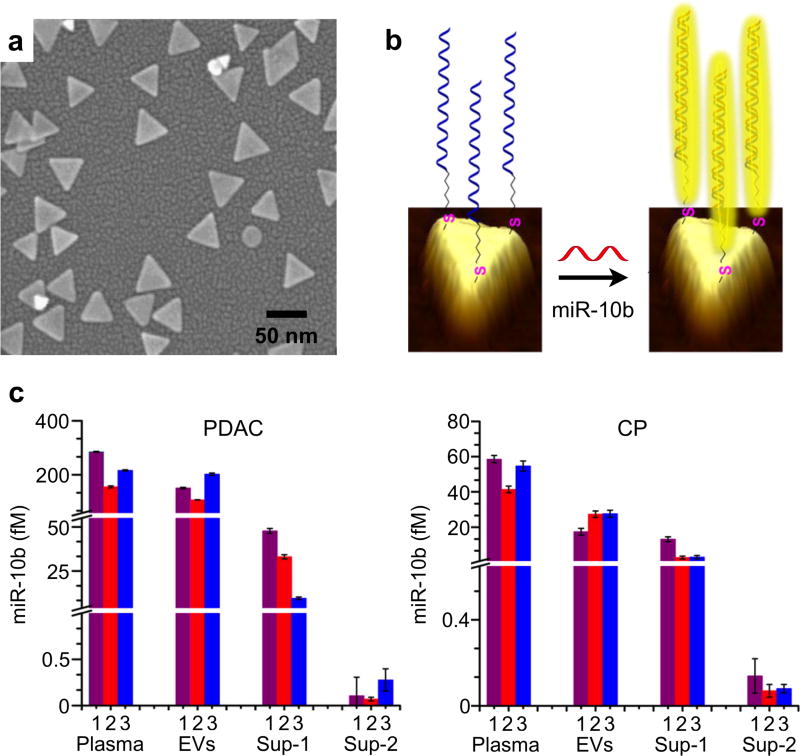 Figure 22