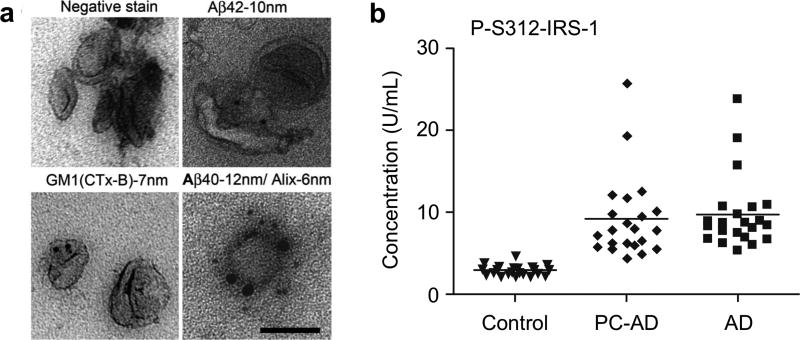 Figure 28