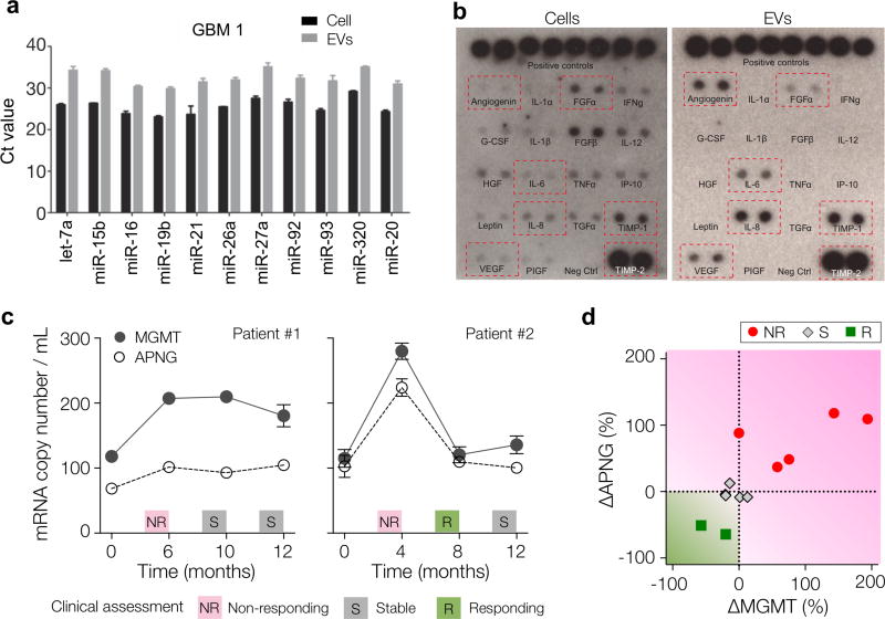 Figure 23