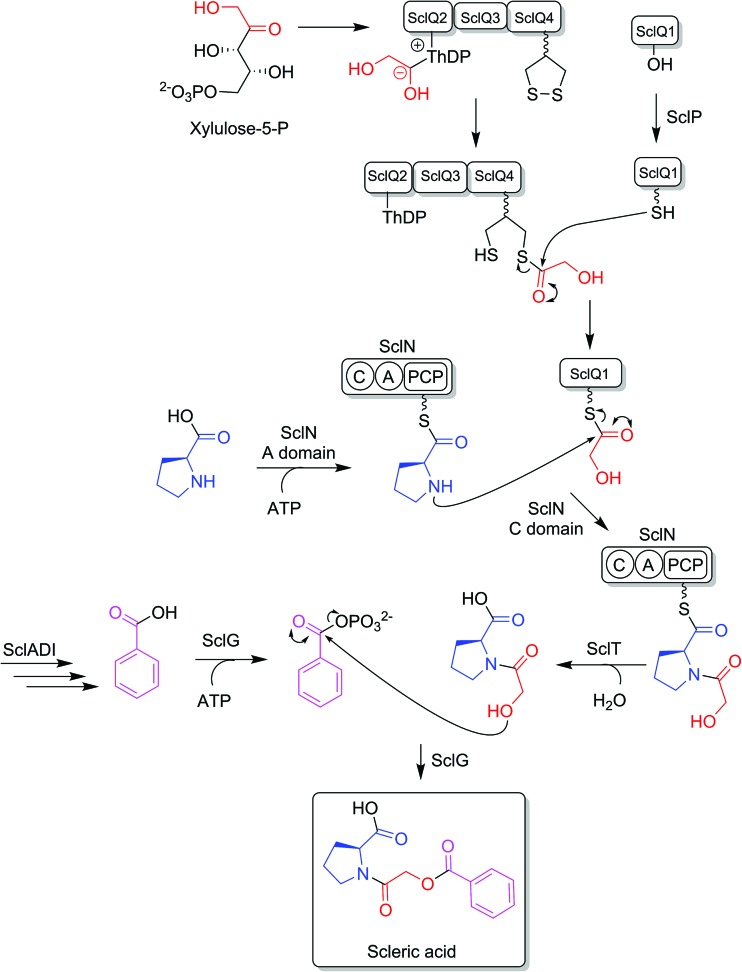 Fig. 4