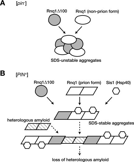 FIG. 8.