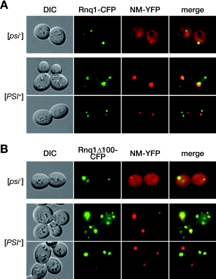 FIG. 7.