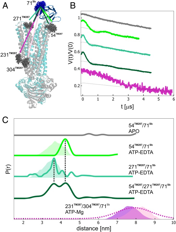 Fig. 3.