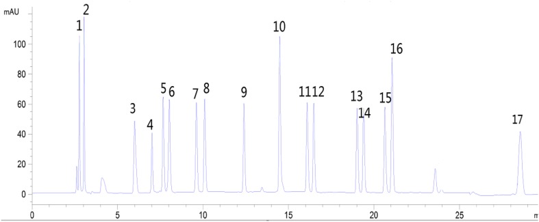 Fig. 1