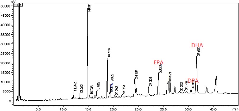 Fig. 2