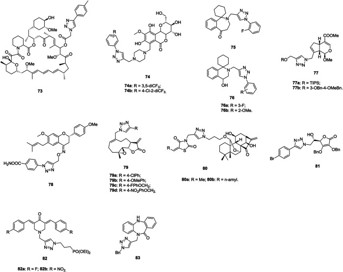 FIGURE 12