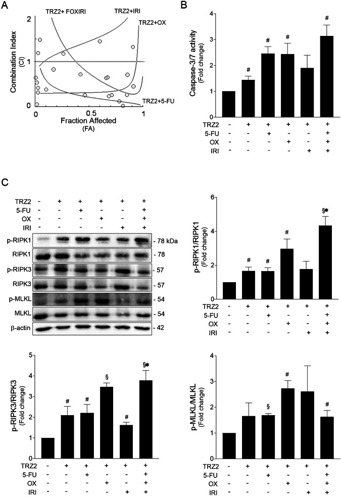 Fig. 6