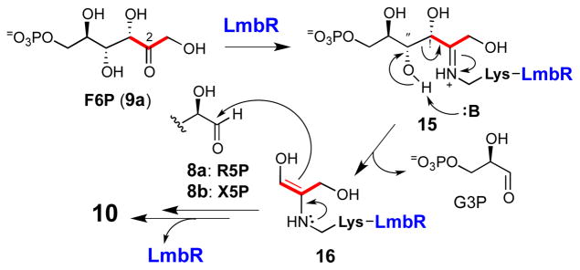 Scheme 2