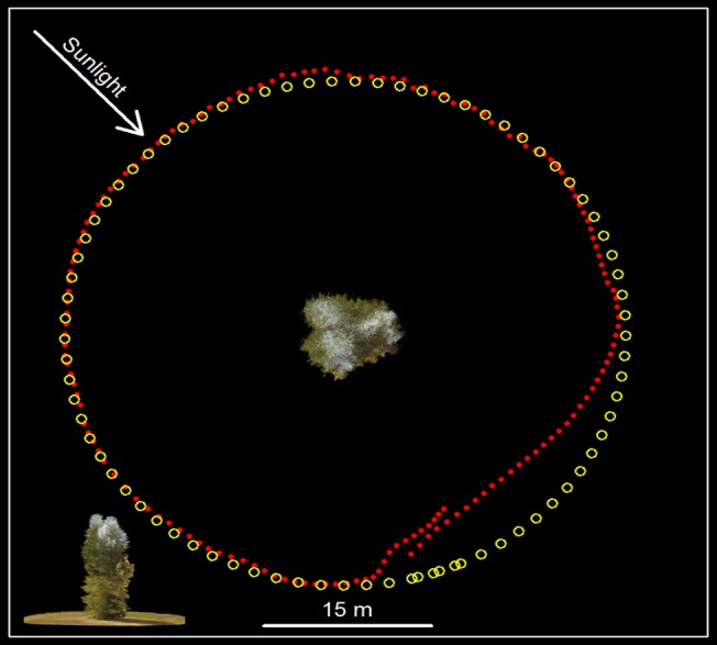 Fig 11