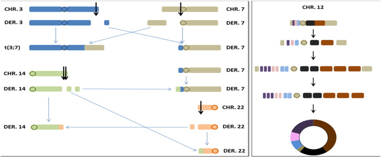 Figure 4