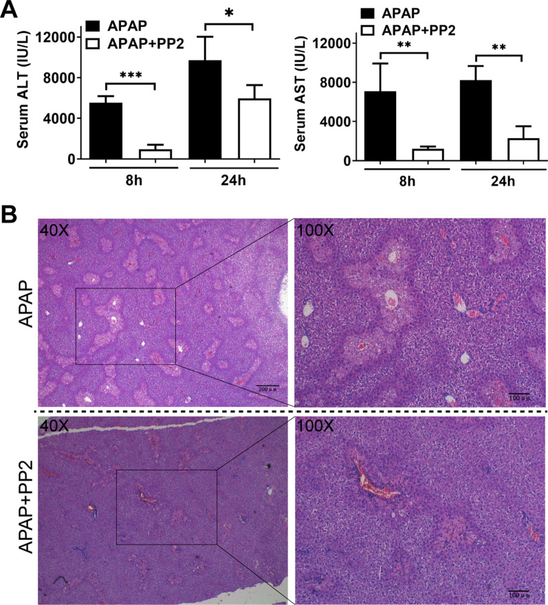 Fig.7