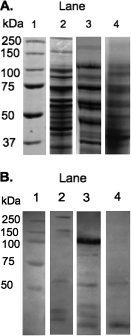 FIG 2