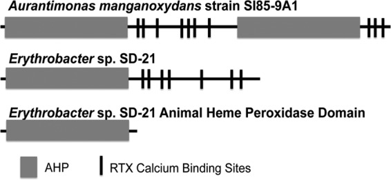 FIG 1