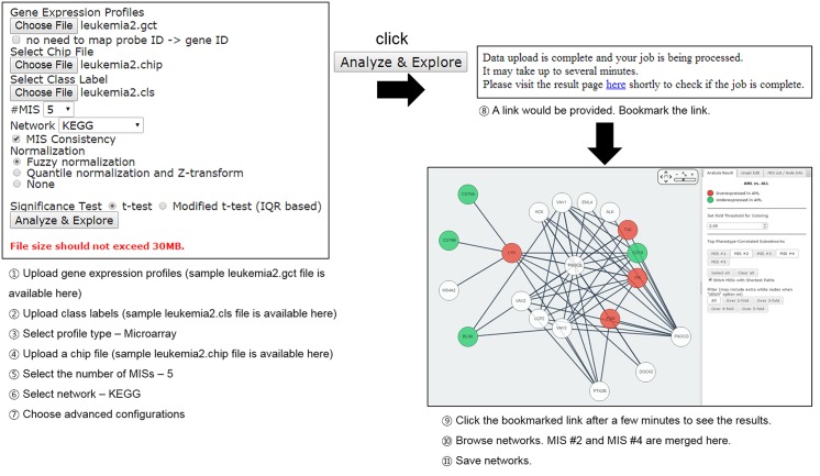 Fig 3