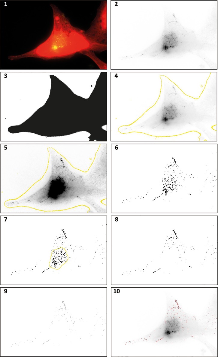 Fig 1