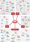 Fig. 2