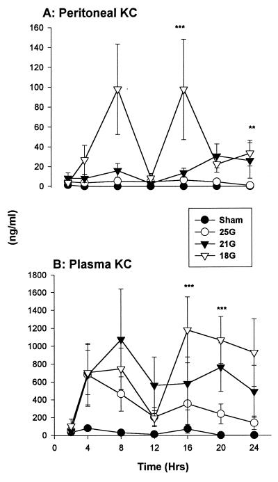 FIG. 8