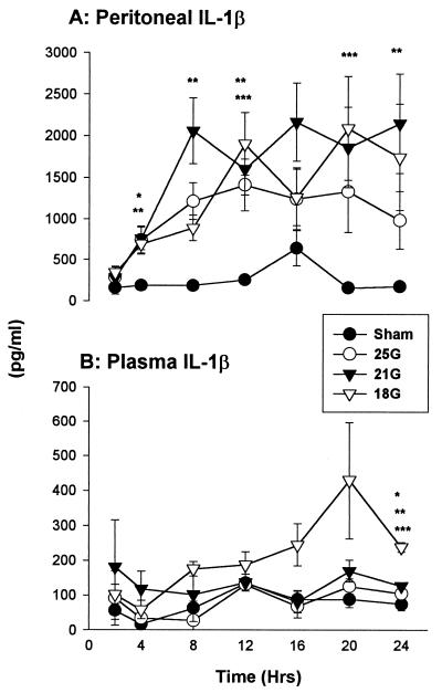 FIG. 5