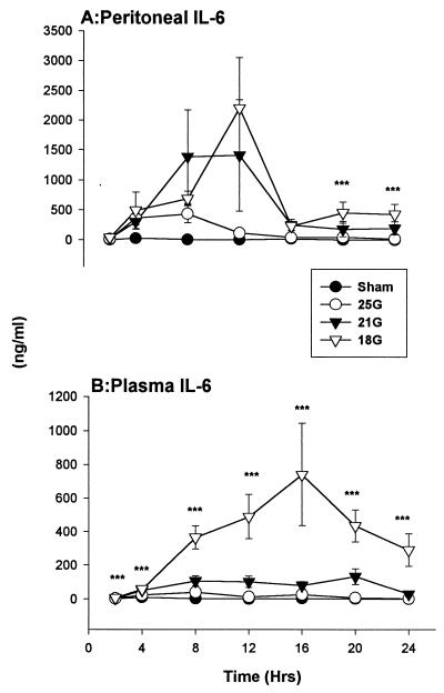 FIG. 6