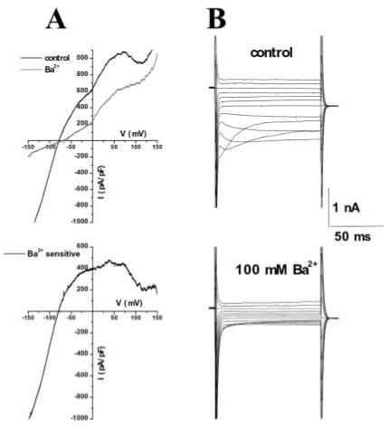 Fig. 11