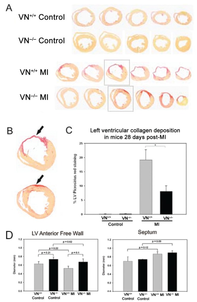 Figure 2)