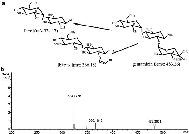 Fig. 4