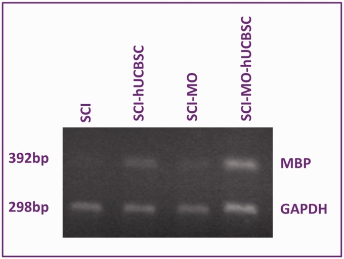 Figure 16.