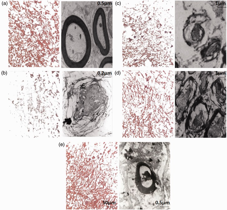 Figure 13.