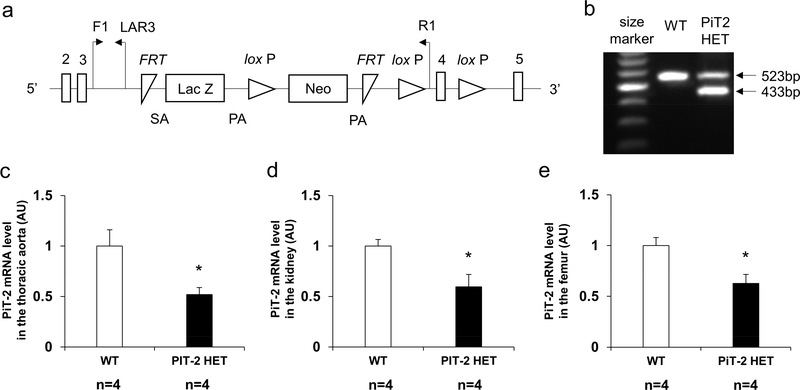 Figure 1 |