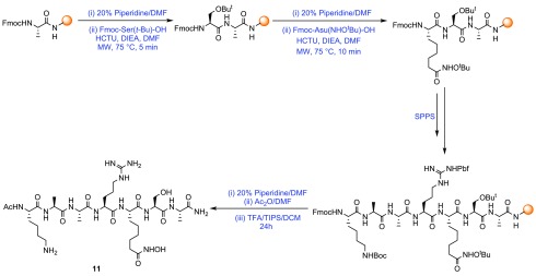 Scheme 3