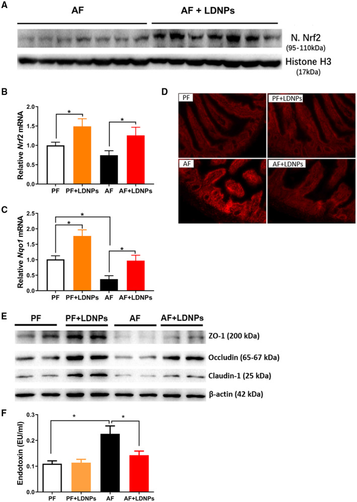 FIG. 7