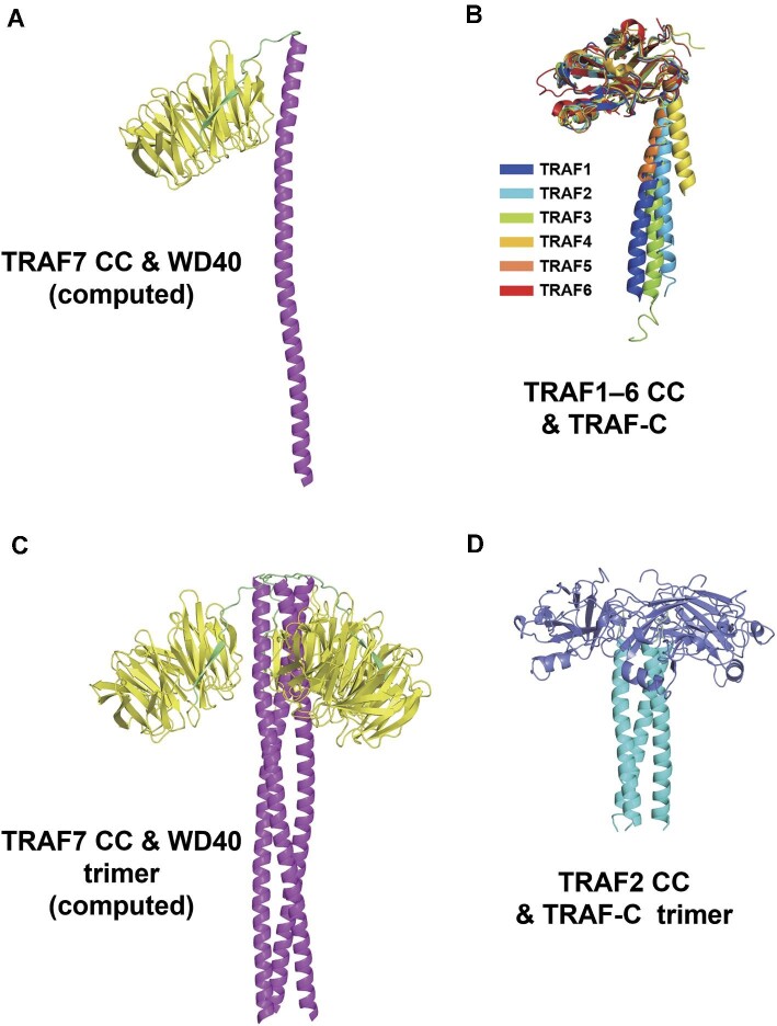 Figure 7