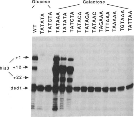 graphic file with name pnas00260-0286-a.jpg