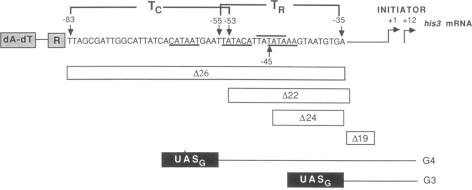 graphic file with name pnas00260-0284-a.jpg