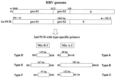 FIG. 1