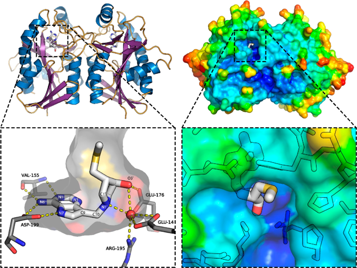 Figure 4.