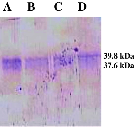 Fig. 3