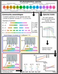 graphic file with name ELE-23-457-g005.jpg