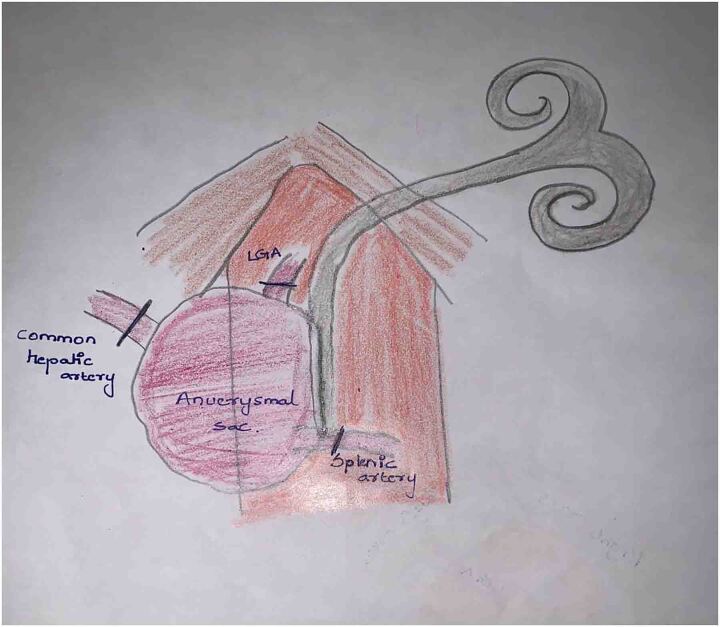 Figure 5 