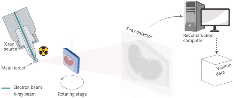 Figure 3. 