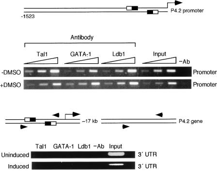 FIG. 4.