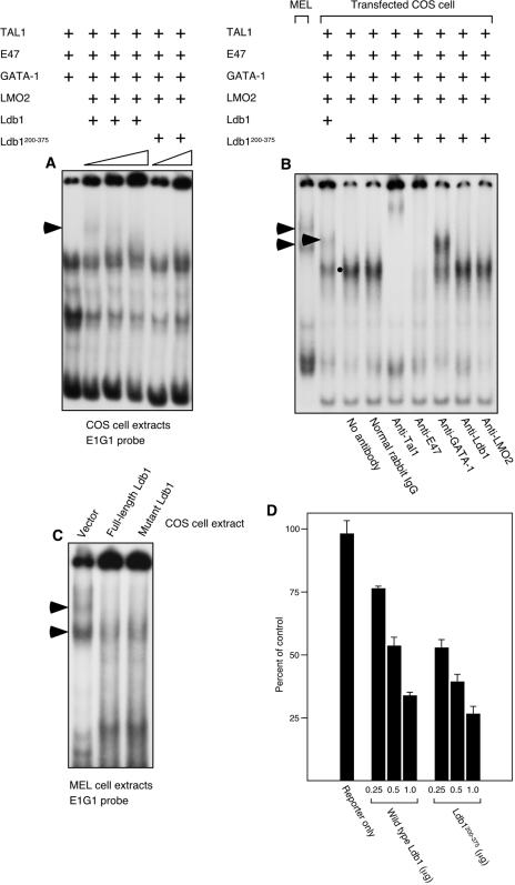 FIG. 7.