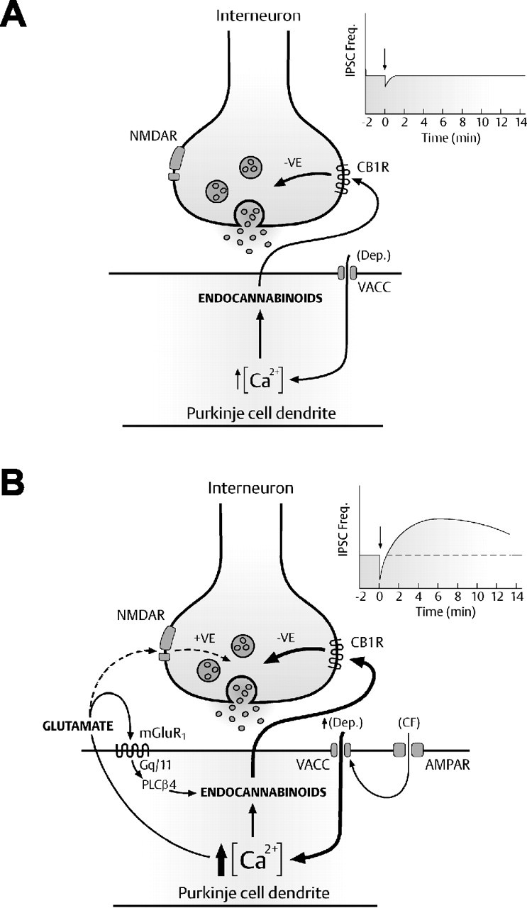 Figure 8.