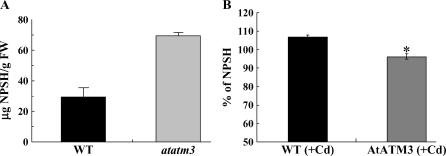 Figure 7.