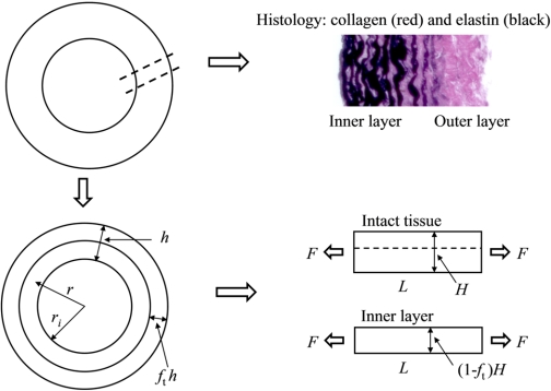 Fig. 2.