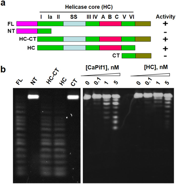 Figure 5