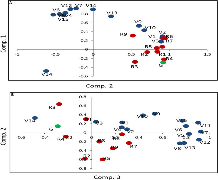 FIGURE 2