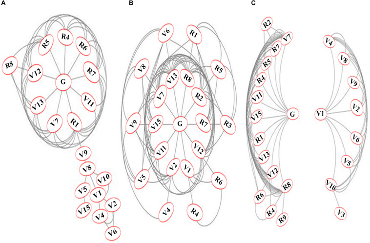 FIGURE 4